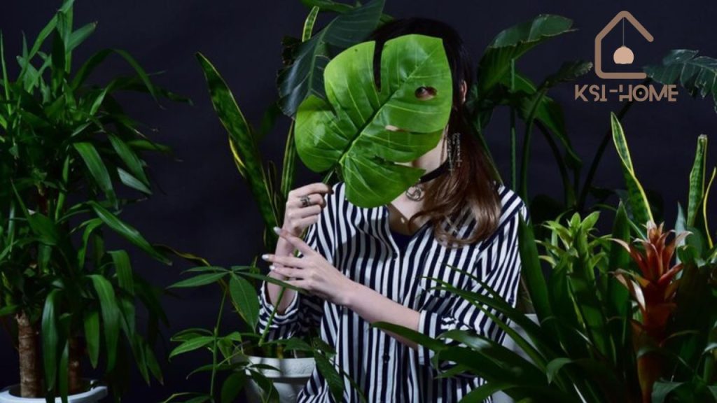 Creative Ways to Style with Plants