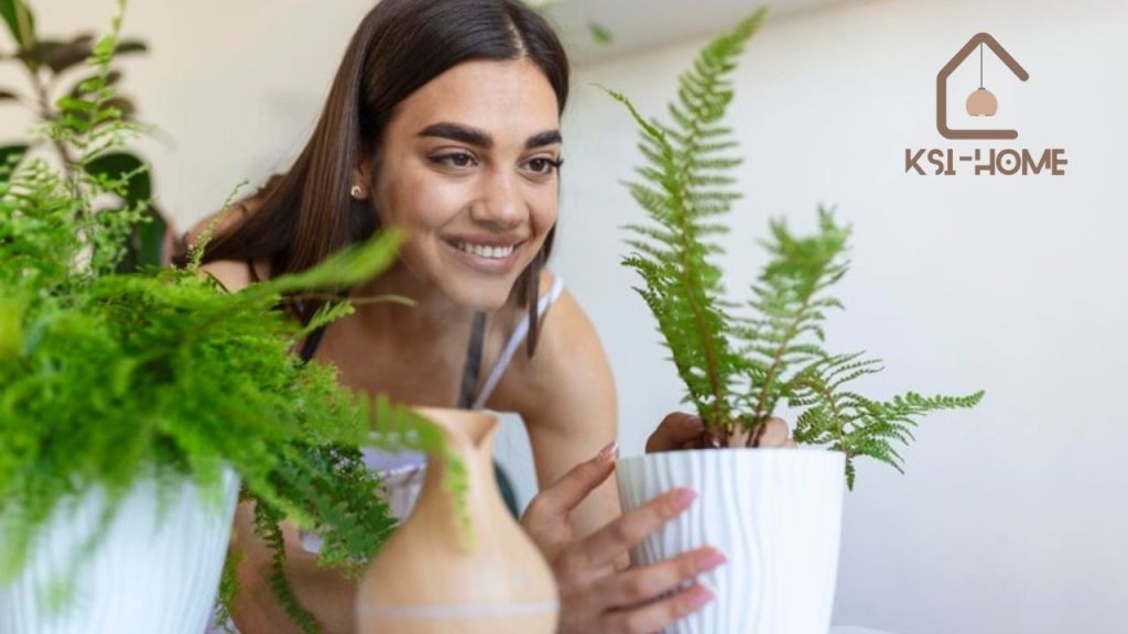 Boosting Health with Dutch Style Plants