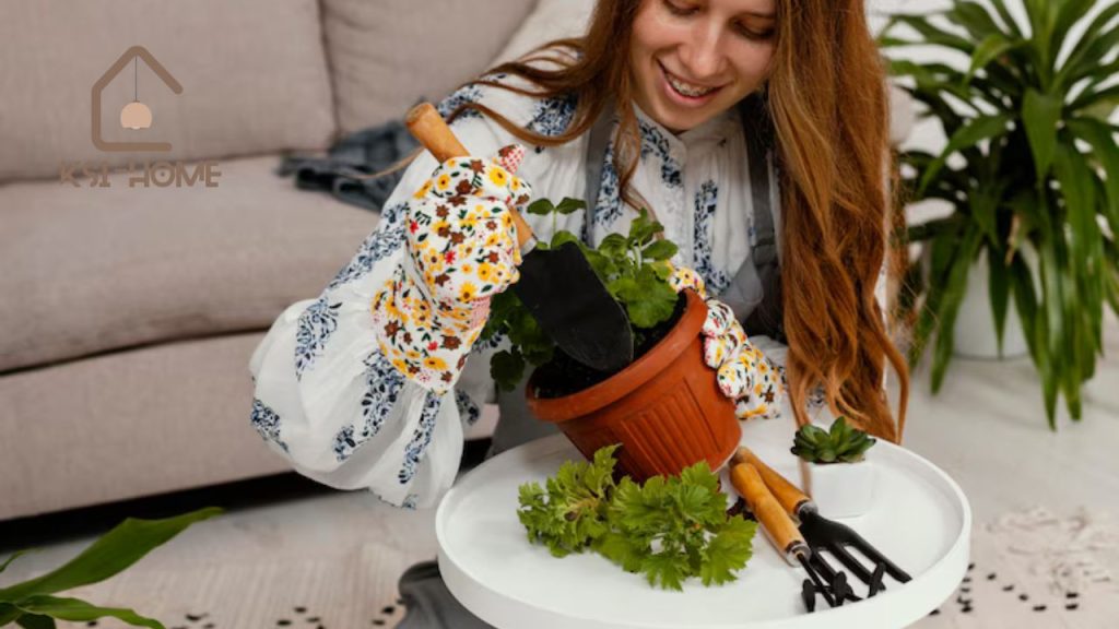 Essential Garden Tips for Decoradhouse