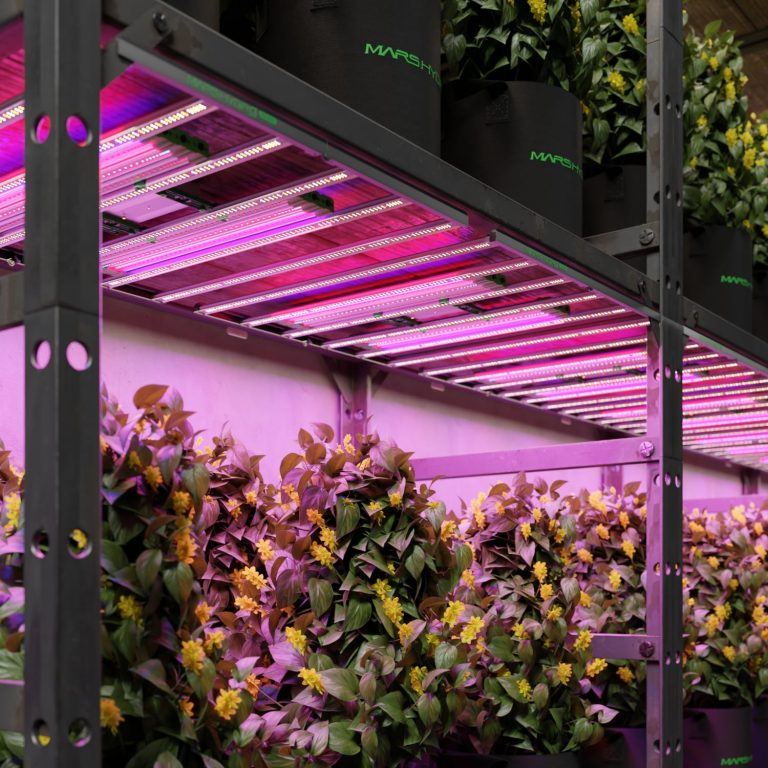 How to optimize the spectrum through supplemental lighting