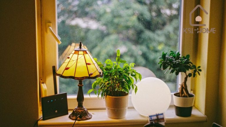 Small Changes, Big Impact on Eco-Friendly Home Habits