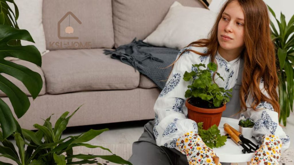 Tips for Styling Your Space with Dutch Style House Plants