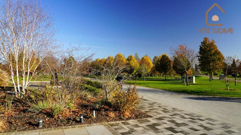 Broadmoor Landscaping Transform Your Outdoor Space Today