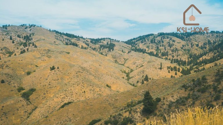 Top Landscape Curbing Services in Smithfield, Utah