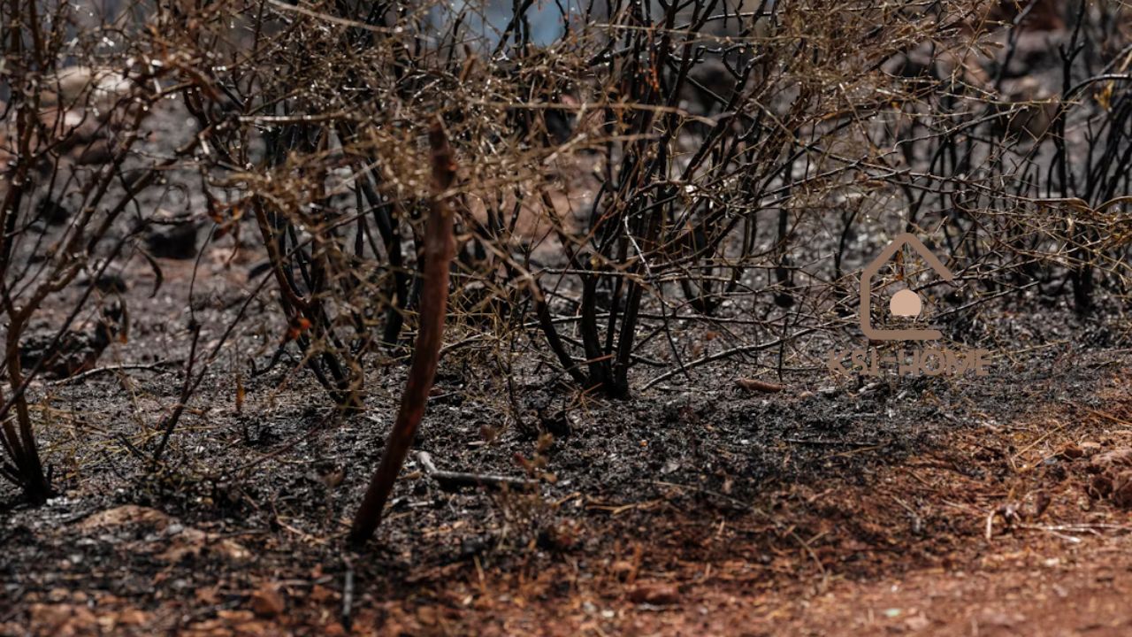 Which Pumps Work Best in Australia’s Harsh Bushfire Conditions