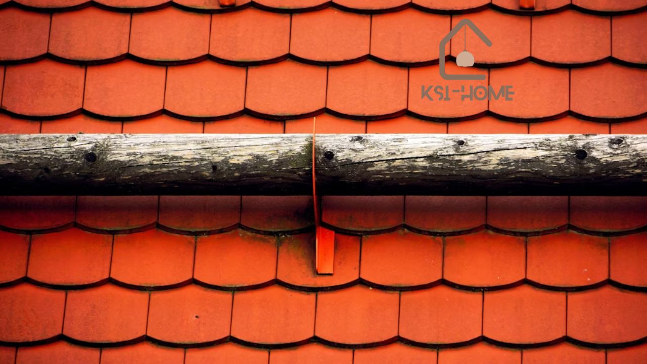 Expert Tips for Copping Roof Everything You Need to Know